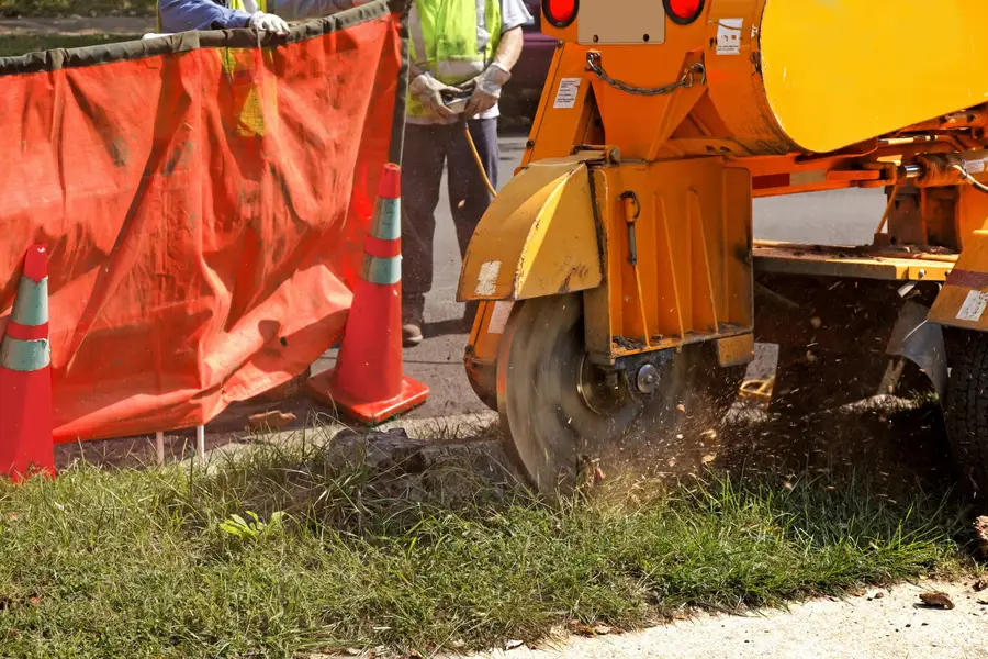 Excellent Stump Grinding Laurens, SC Excellent Stump Grinding Laurens, SC