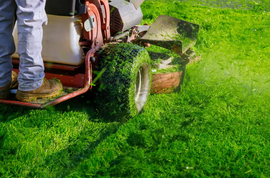 Premium Lawn Mowing Laurens, SC Premium Lawn Mowing Laurens, SC