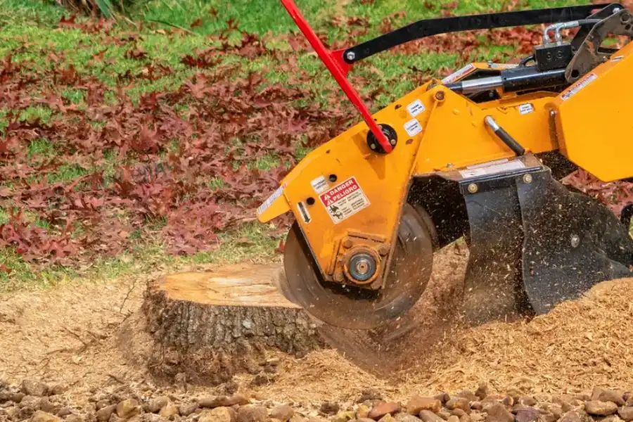Quality Stump Grinding Laurens, SC Quality Stump Grinding Laurens, SC
