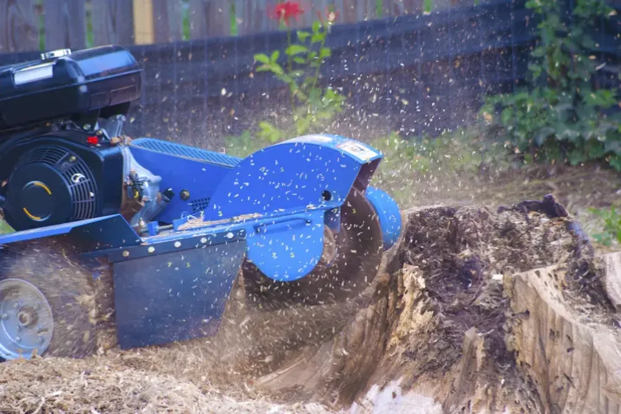 Superior Stump Grinding Laurens, SC Superior Stump Grinding Laurens, SC