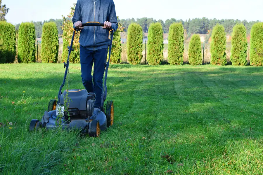 Tree Debris Cleanup To Improve Lawn Mowing Results Laurens, SC