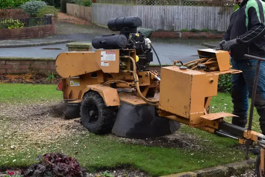 What To Expect After A Stump Grinding Service Laurens, SC